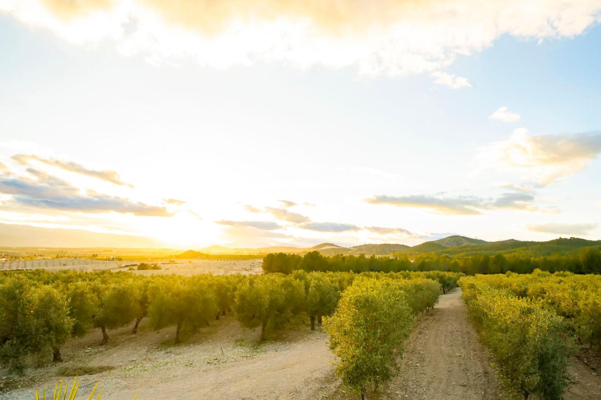 Finca El Espilo Lucar Luaran gambar